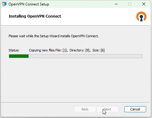 OpenVPN Connect Setup wizard installing