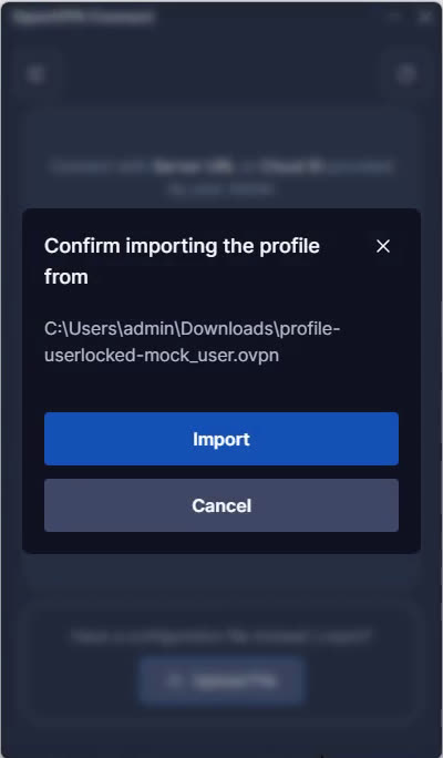 Confirm importing the profile dialog with Import button